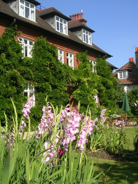 Chaucer Road Gardens